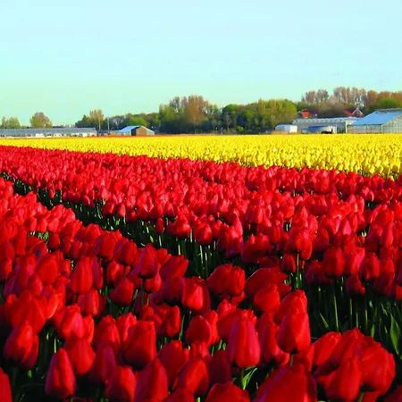 호텔 Fletcher Restaurant De Witte Raaf 노르트베이크