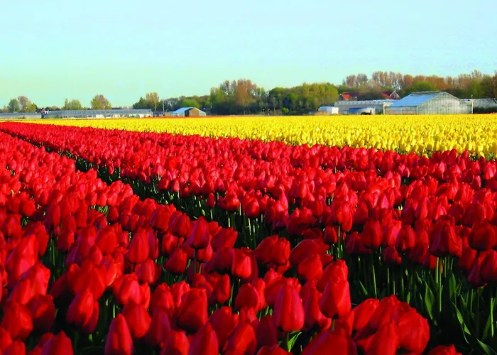 Hotel Fletcher Restaurant De Witte Raaf Noordwijk